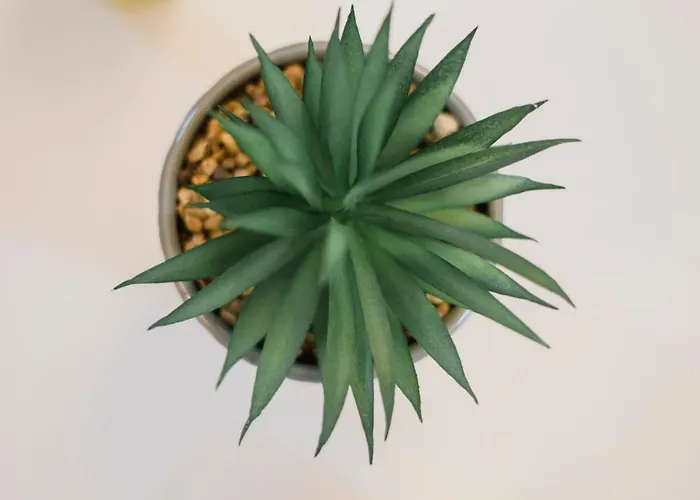 Dom wakacyjny Cycladic House Naxos