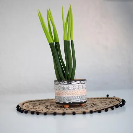 Cycladic House Naxos *